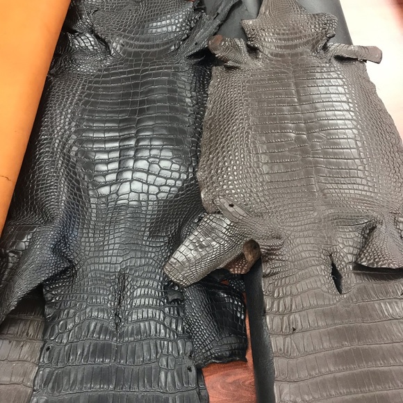 Real alligator Vans - Picture 4 of 8